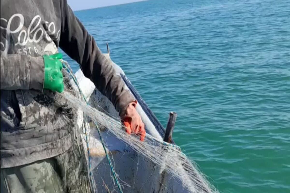 توقیف قایق