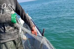 ۹ فروند قایق صیادی غیرمجاز در آب‌های ساحلی جویبار توقیف شد