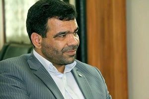 نقش موثر بانک توسعه تعاون در پرداخت وام فرزندآوری/ در اشتغال روستایی جزء بانک های عامل هستیم