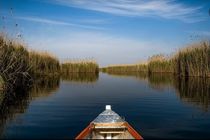 شناسایی مسیرهای گردشگری تالاب هورالعظیم در دستور کار قرار گرفت