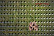 سربرنیتسا، مارش نامیرا از شبکه یک سیما پخش می شود