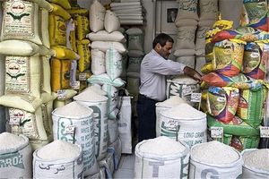 واردات برنج خارجی ممنوع می شود