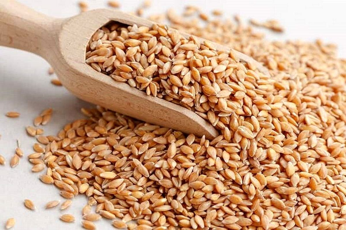 خرید تضمینی جو