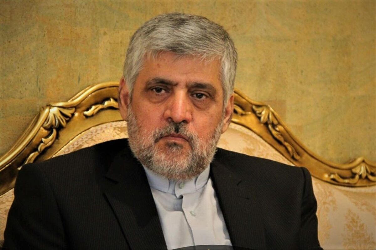 رئوف+شیبانی