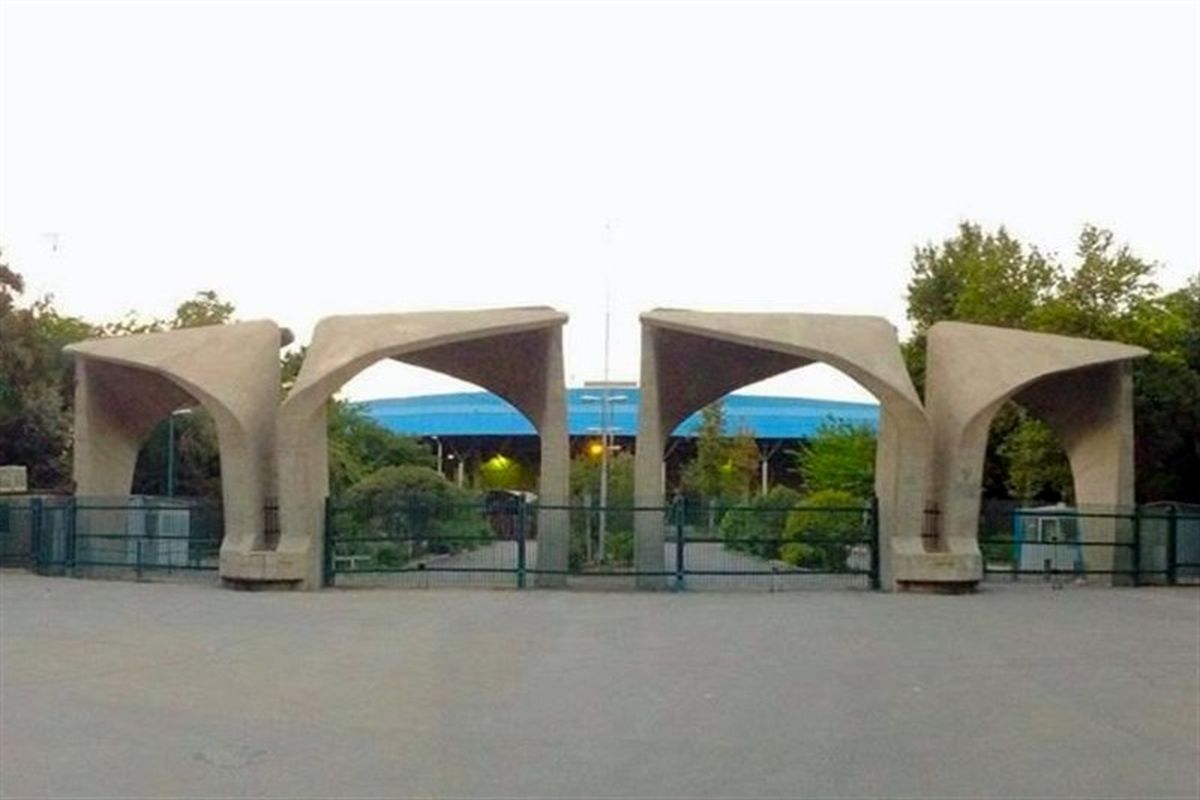 دانشگاه