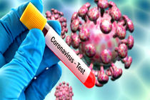 شناسایی اولین مورد ابتلا به امیکرون در اصفهان