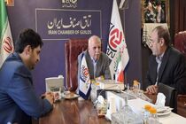 فرماندار تهران از عملکرد اصناف در ثبات بازار و تأمین کالاهای اساسی تقدیر کرد