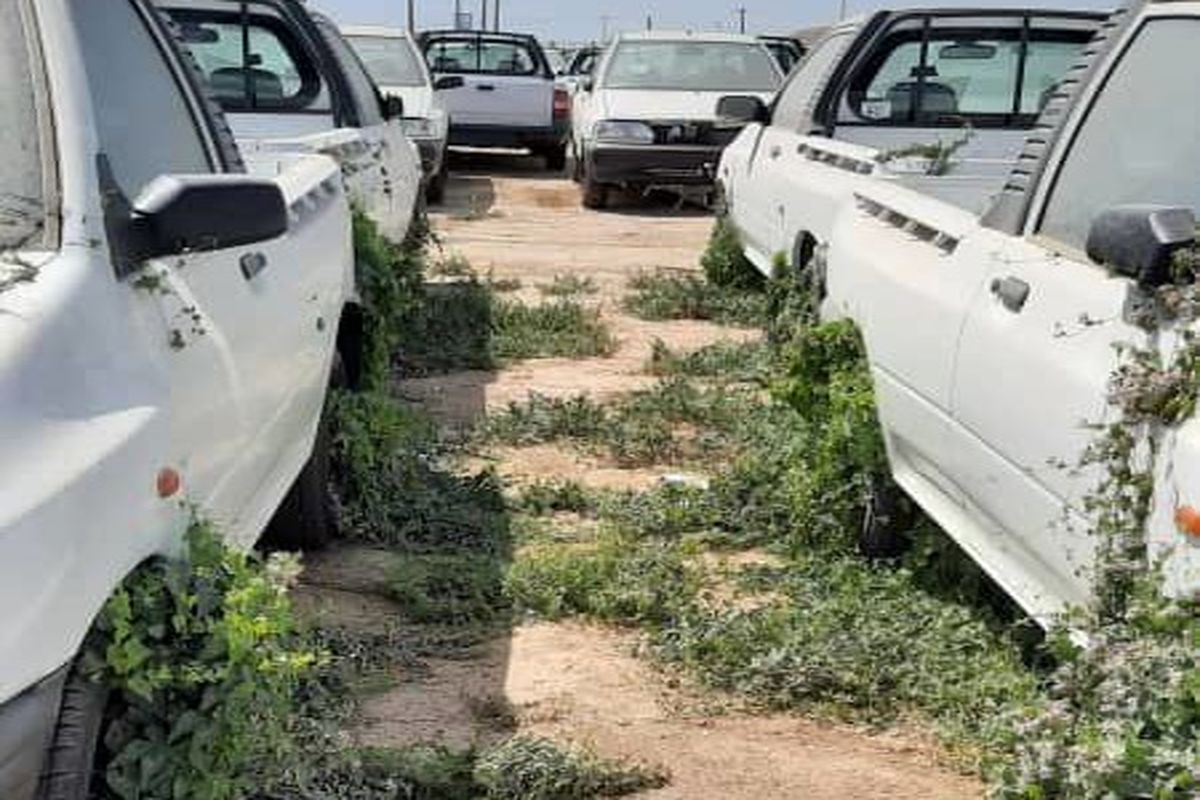 78ce7673-8853-4658-9266-81b6fea50cad