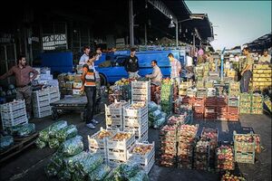 کاهش محسوس قیمت میوه در میدان مرکزی تهران؛ بار فراوان از سراسر کشور