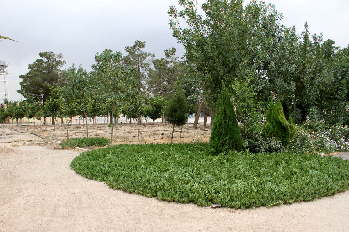 فضای سبز