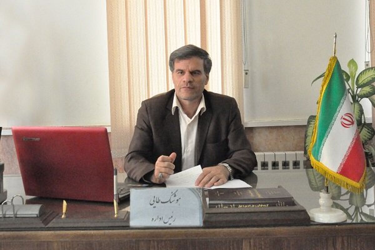 هوشنگ طایی