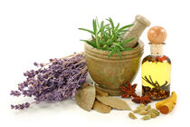 فرایند صادرات گیاهان دارویی الکترونیکی می شود 