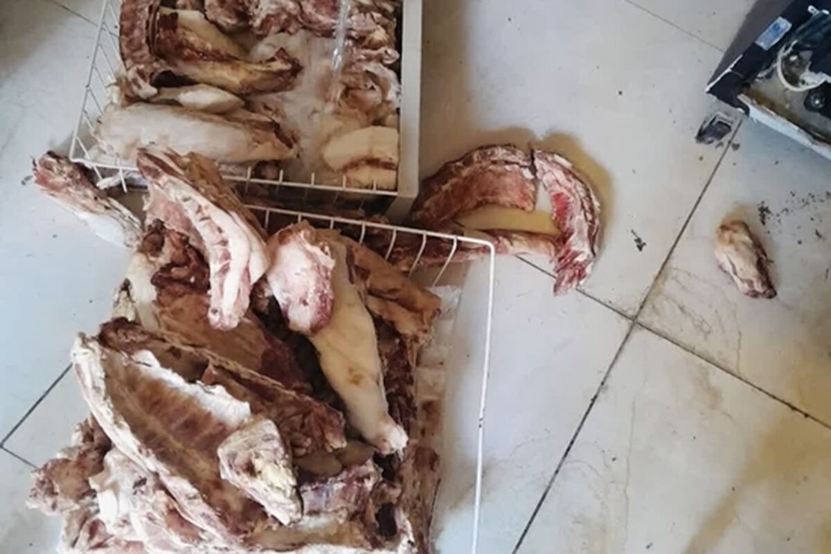 گوشت فاسد