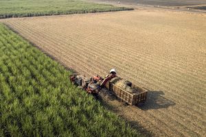 اجرای راهبرد تکمیل زنجیره تولید محصولات کشاورزی در قم