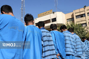 ۳۹۴ سارق و مالخر ظرف ۷۲ ساعت دستگیر شدند
