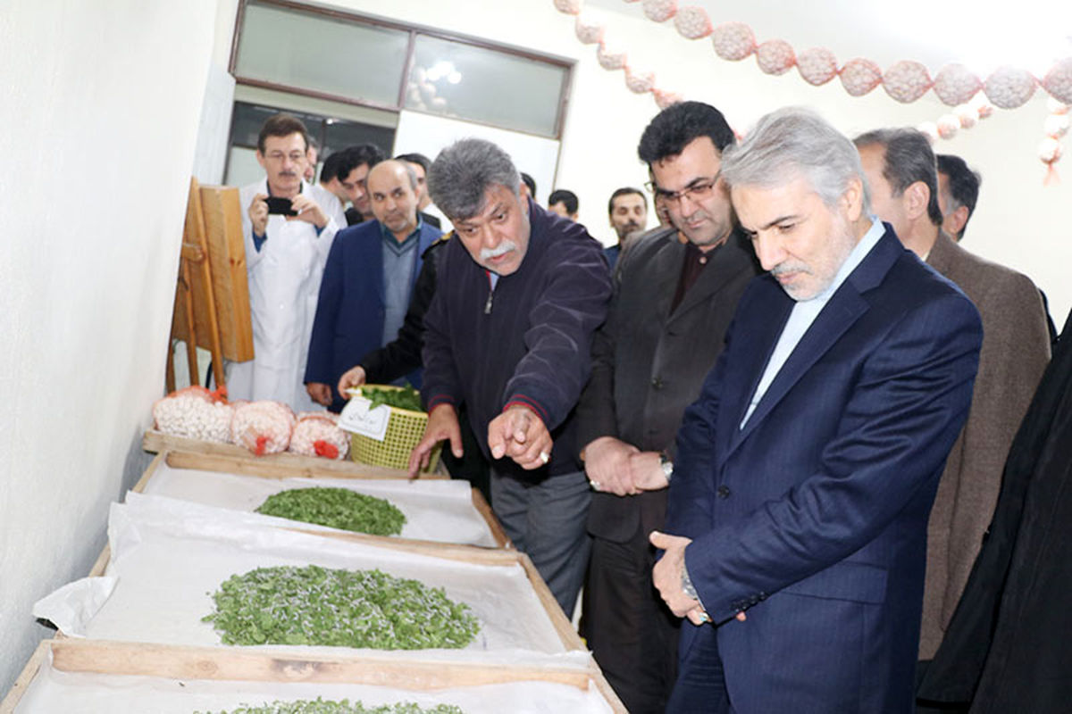 بازدید از مرکز تحقیقات کرم ابریشم کشور در شهرستان شفت1