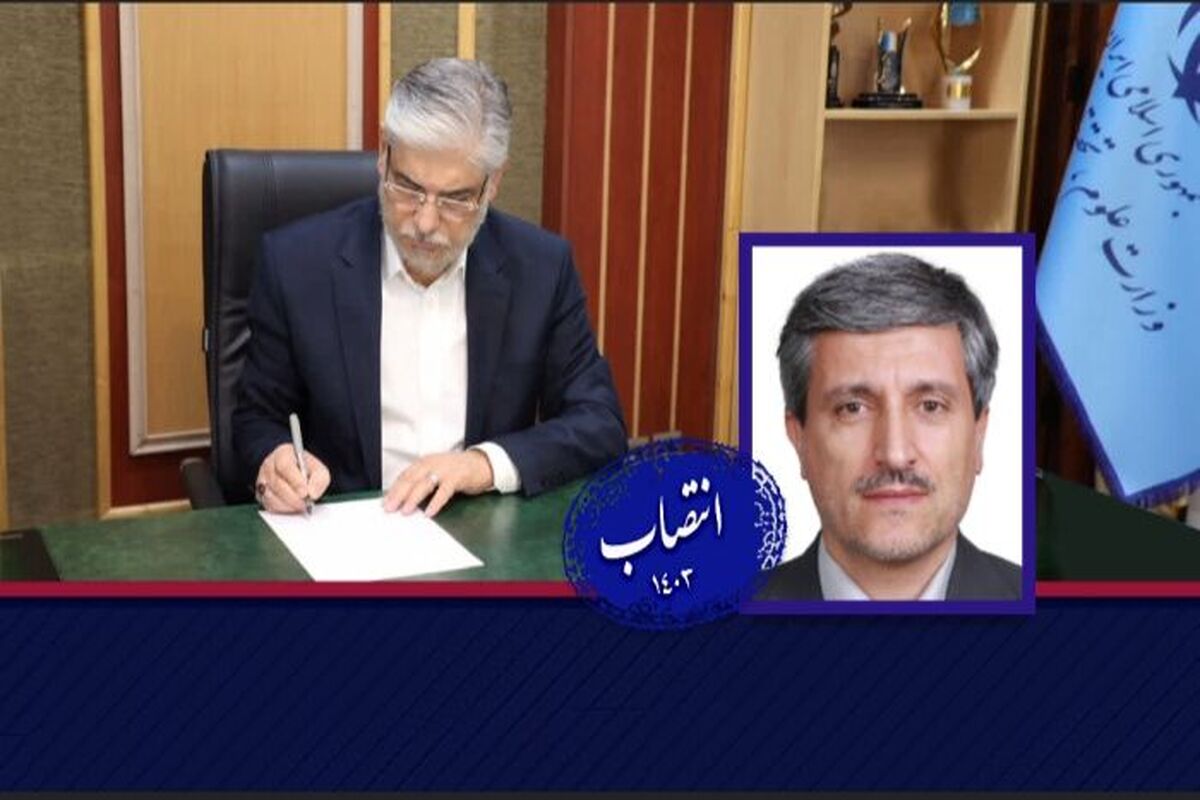 دانشگاه هنر