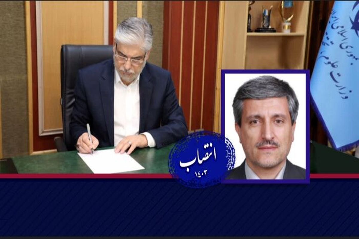 دانشگاه هنر