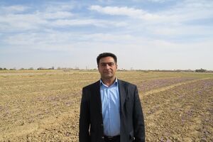 70 هزار هکتار قرق مراتع برای جلوگیری از گرد و غبار اطراف دریاچه ارومیه 
