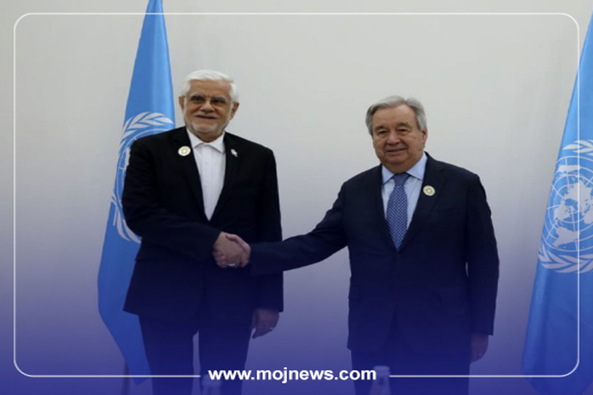 کاور عارف سازمان ملل