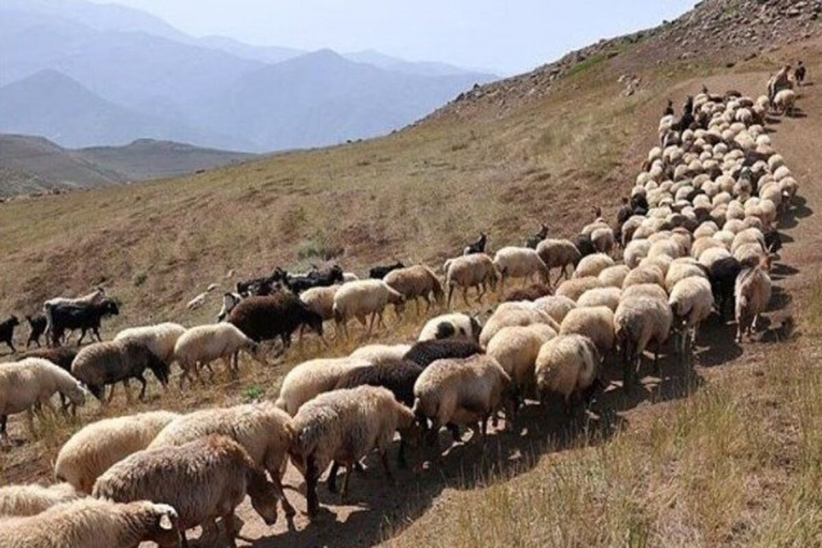 عشایر خراسان رضوی