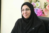 9 فقره کالای غیراستاندارد در ایلام کشف شد