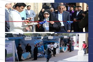  اشتغال و‌جلوگیری از مهاجرت از مهم‌ترین نتایج رویداد کار وتک است