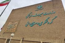 از ظرفیت ایرانیان خارج از کشور در توسعه صادرات صنایع‌دستی استفاده می‌شود