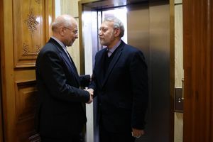 مجلس برای همکاری با شورای عالی امنیت ملی اعلام آمادگی کرد