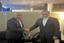 عراقچی و البدیوی بر تقویت روابط ایران و کشورهای خلیج فارس تأکید کردند