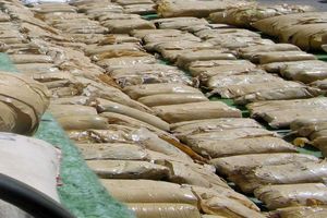 کشف بیش از دو تن انواع مواد مخدر در هرمزگان/ 54 قاچاقچی و توزیع کننده مواد دستگیر شدند