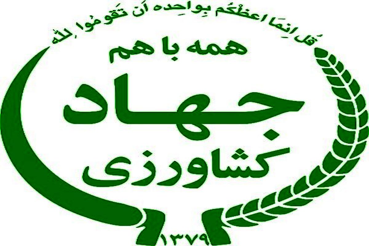 کشاورزی