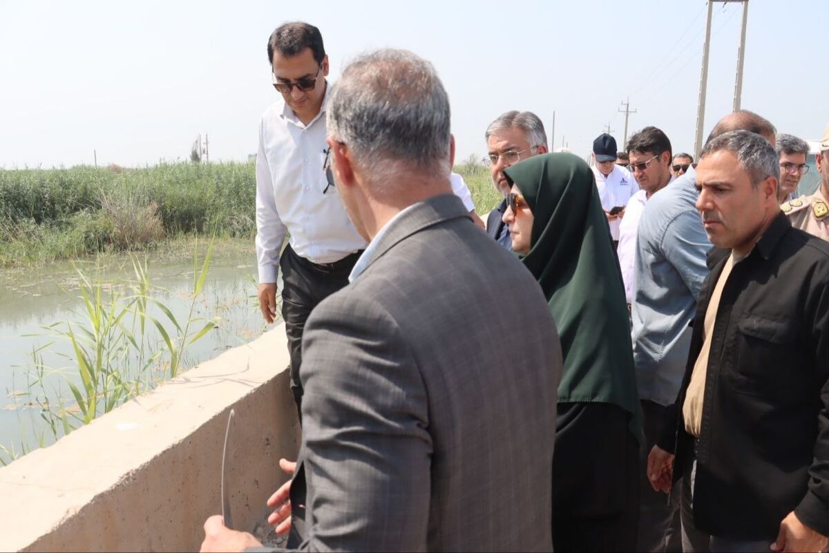 رئیس سازمان حفاظت محیط زیست