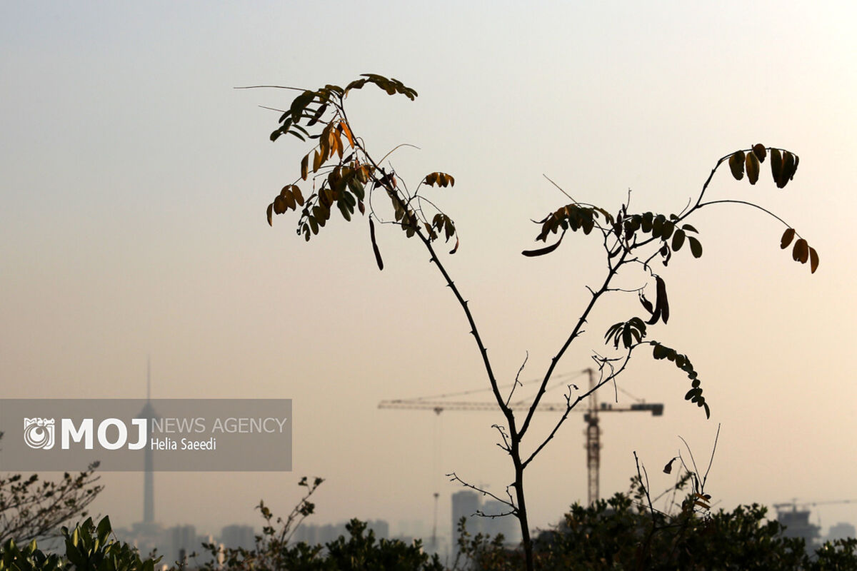 آلودگی هوای تهران