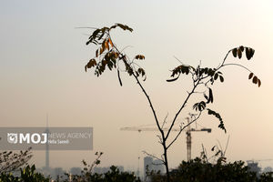 شاخص آلودگی هوا در تهران ۱۵۹ و وضعیت برای همه گروه‌ها ناسالم است 