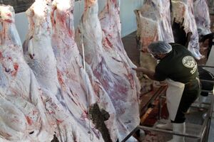 کشتارگاه سنتی بهسازی شوند