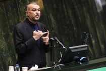 افغانستان باید حق جمهوری اسلامی ایران در موضوع هیرمند را محترم بشمارد