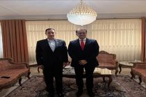 سفرای پاکستان و عمان در تهران حول محور آخرین تحولات منطقه رایزنی کردند