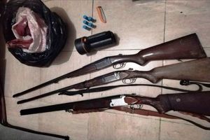 دستگیری متخلفان شکار و صید در مازندران/ جمع آوری بیش از 200 رشته دام هوایی صید غیرمجاز پرندگان