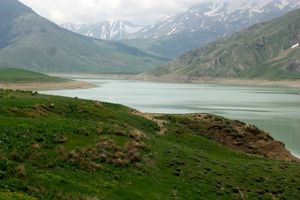 پوشش گیاهی مراتع استان یزد با توجه به بارندگی‌ها تقویت شد