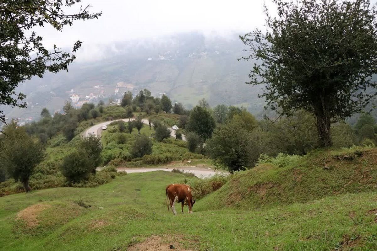 عکاس دانش آموز