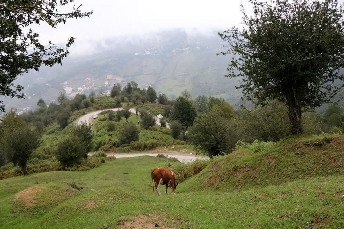 عکاس دانش آموز