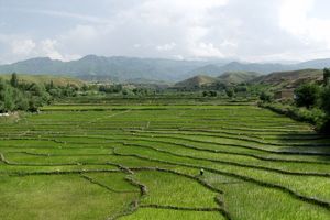 مصوبه جلوگیری از تغییر کاربری کشاورزی و تخریب محیط زیست ابلاغ شد