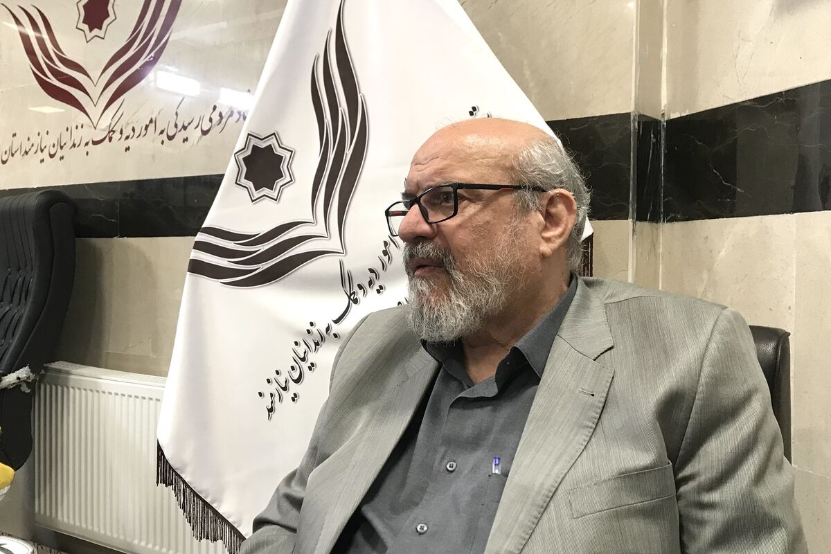 مدیرعامل ستاد دیه کشور