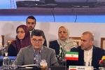 آمادگی ایران برای گسترش همکاری‌های صنعتی پروژه‌محور با اعضای بریکس