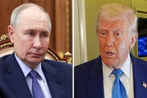  کرملین بر رایزنی «پوتین» و «ترامپ» مهر تایید زد