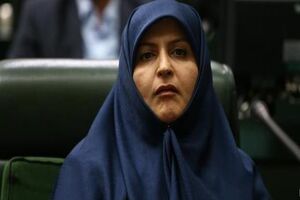 فعالان محیط زیست زنگ هشدار را برای دولت به صدا درآورده اند