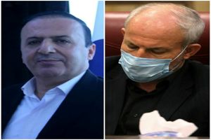 میوه همدلی مردم و مسئولین ایلام با تصویب منطقه آزاد مهران به بار نشست