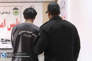 سارق مغازه های میبد دستگیر شد