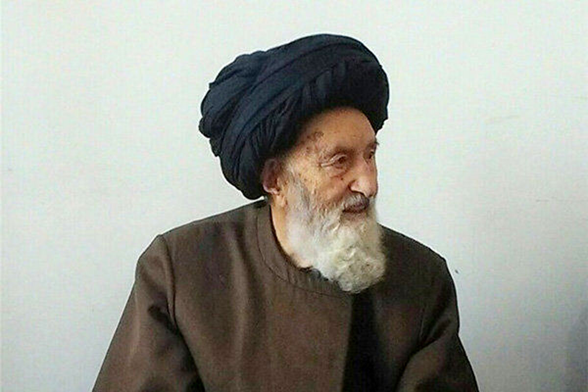آیت الله میرفخرالدین موسوی ننه‌کران 